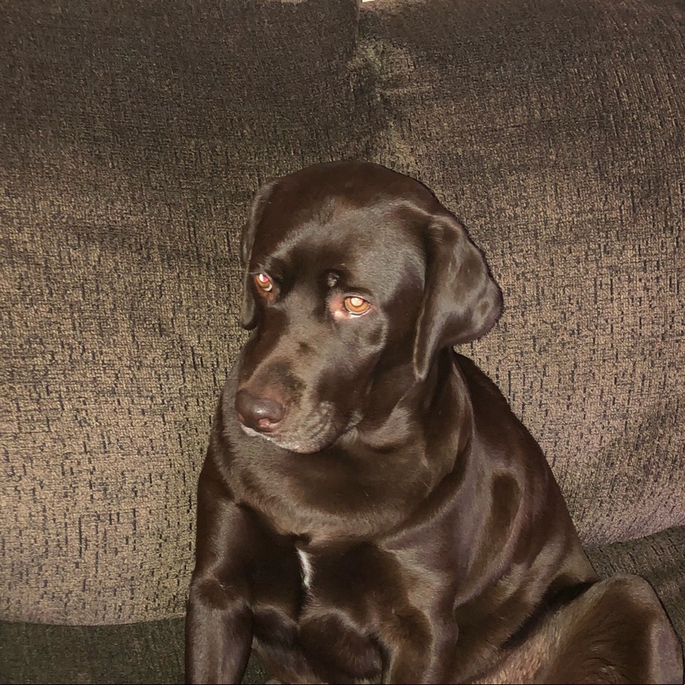 Meet your Posher, Kinsey